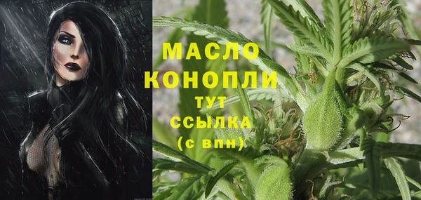 герыч Мегион