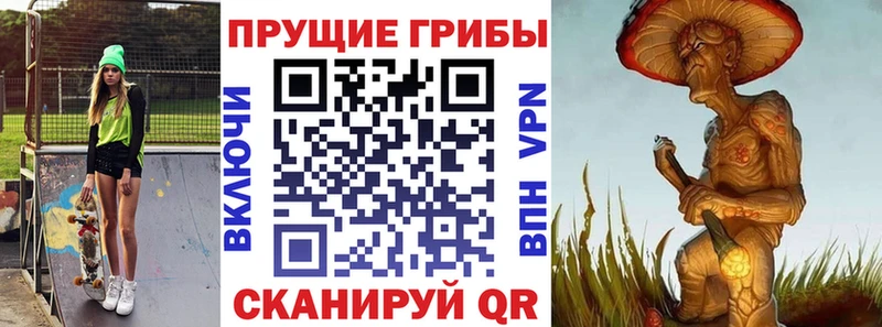 Купить где  Мончегорск  Псилоцибиновые грибы мицелий 